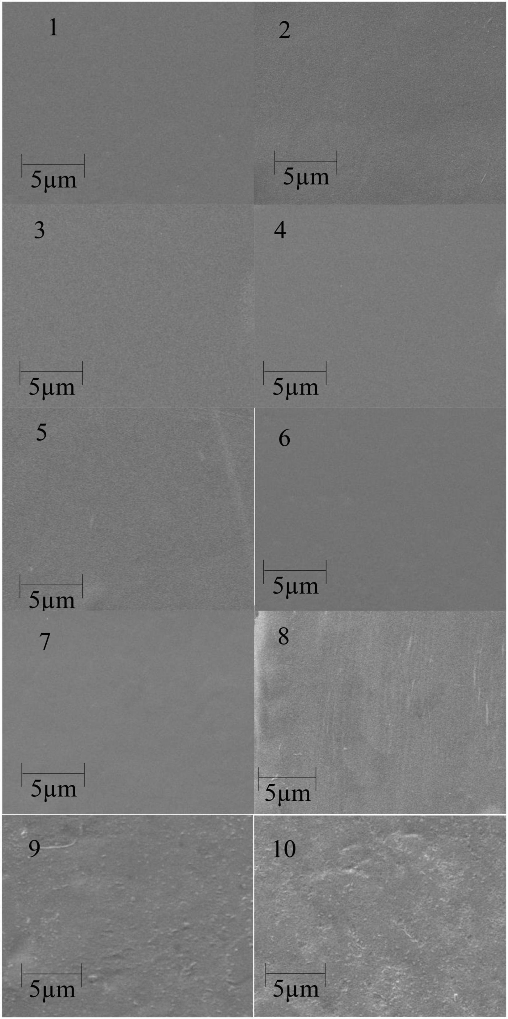 Starch-based environment friendly, edible and antimicrobial films reinforced with medicinal plants